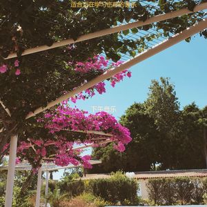 适合读微妙的音乐