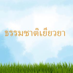 ธรรมชาติเยียวยา