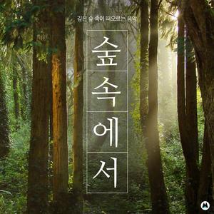 고요하고 한적한 숲