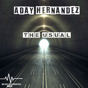 The Usual (Original Mix)