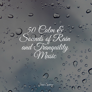 Rain Dripping from the Roof