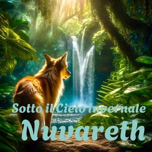 Sotto il Cielo Invernale
