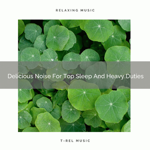 Delicious Noise For Top Sleep And Light Chillout