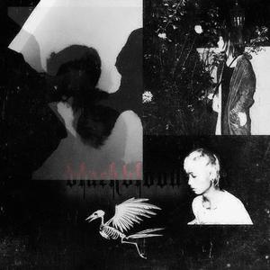 Echos (prod. nadiak)