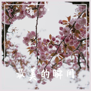 最美的瞬间