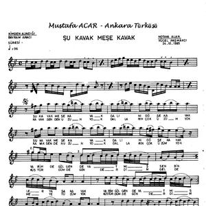 Şu Kavak Meşe Kavak