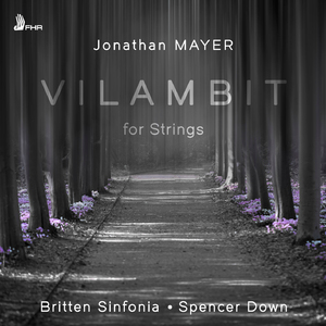 Vilambit for Strings