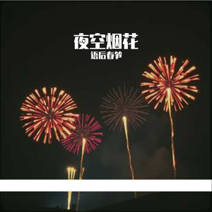 夜空烟花 (1)