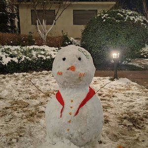 似水流年的静谧