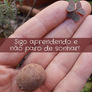 Sigo Aprendendo e Não Paro de Sonhar