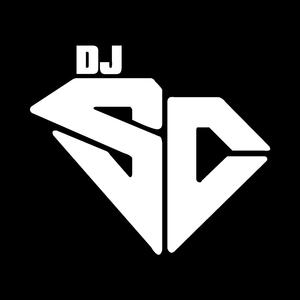 Thillele Pulleranguma DJ SC