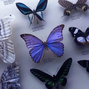 Just Friends-（sʜɪɴᴏʜᴀʀᴀ remix）