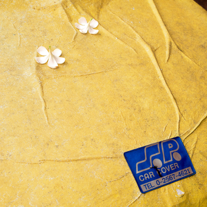 너는 나의 여름