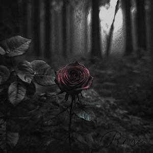 Something Dark Inside