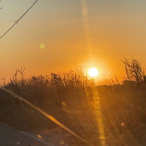 ヒトラーに原爆～悪魔がくれた僕ら天使たちの歌～