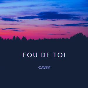 FOU DE TOI