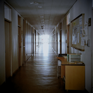 대단한 월요일 오후