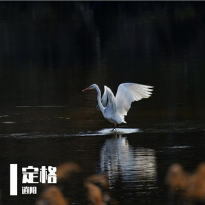定格那天 （纪念版）