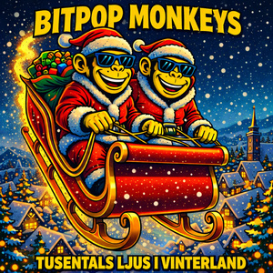 Tusentals ljus i ett vinterland