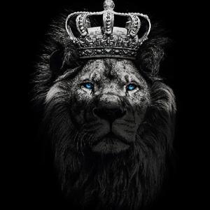 野兽beast（成都集团CDC2022）