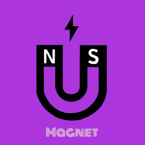 Magnet