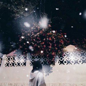 不再等候的姑娘