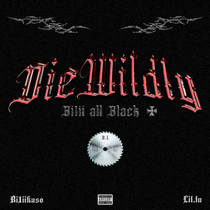 DieWildly（PROD BY 金桔0RANG3）