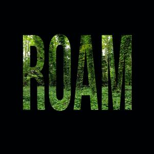 Roam