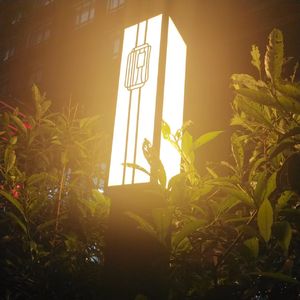 『华丽与伪善一体两面』