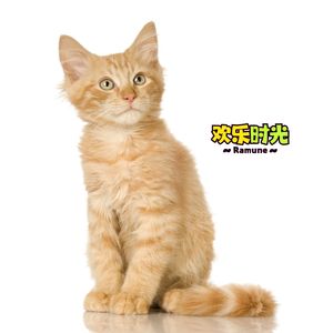 欢乐时光 (宠物店bgm)