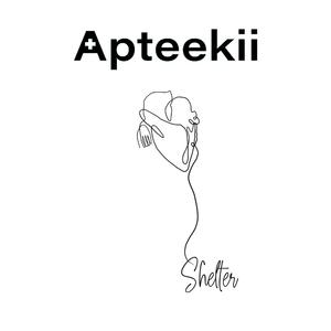 Shelter - Acoustic (Acoustic) (Acoustic)