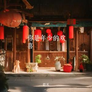 你是年少的欢喜