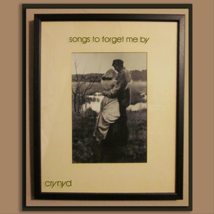 Plight of the Plastic Paratrooper