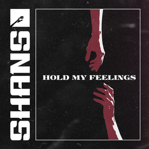 Hold My Feelings