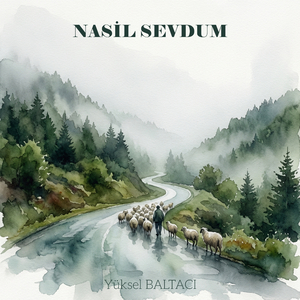 NASİL SEVDUM