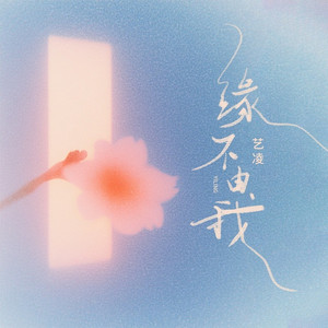 缘不由我 (DJ九零版)