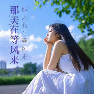 那天我在等风来