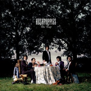 Pakt Up Like Sardines In a Crushtin Box