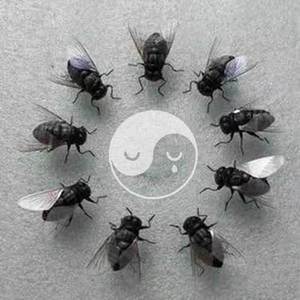 地下室的365天