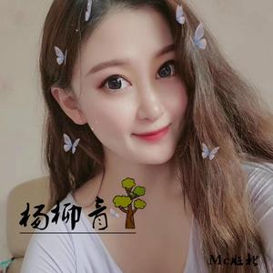 群星-杨柳青（Mc脏北 remix）