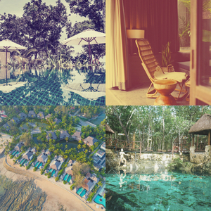 精彩鸡尾酒吧环境