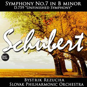 Symphony No.8 "Unfinished Symphony", D. 759: I.Allegro moderato + II. Andante con moto