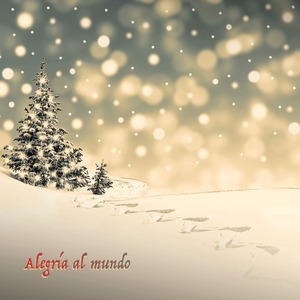 ¡Escuchad! ¡Los ángeles cantan!