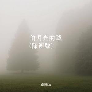 偷月光的贼 (降速版)