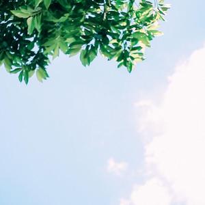 Change your nickname