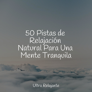 No Te Preocupes