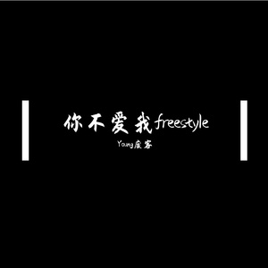 你不爱我freestyle