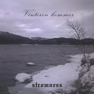 Kronglebjørk i fjellet