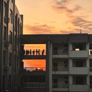 lxx（翻自 关公鱼）