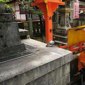 奇妙能力歌（翻自 板栗先生）